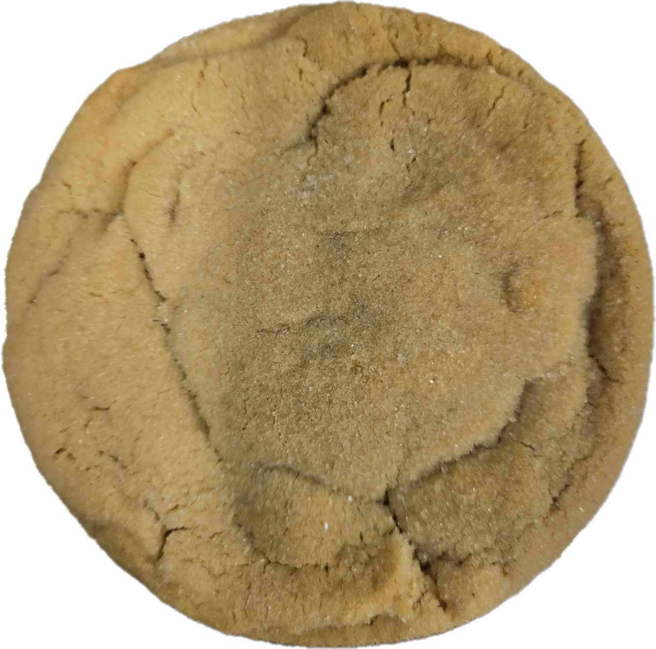 Soft Peanut Butter Cookie